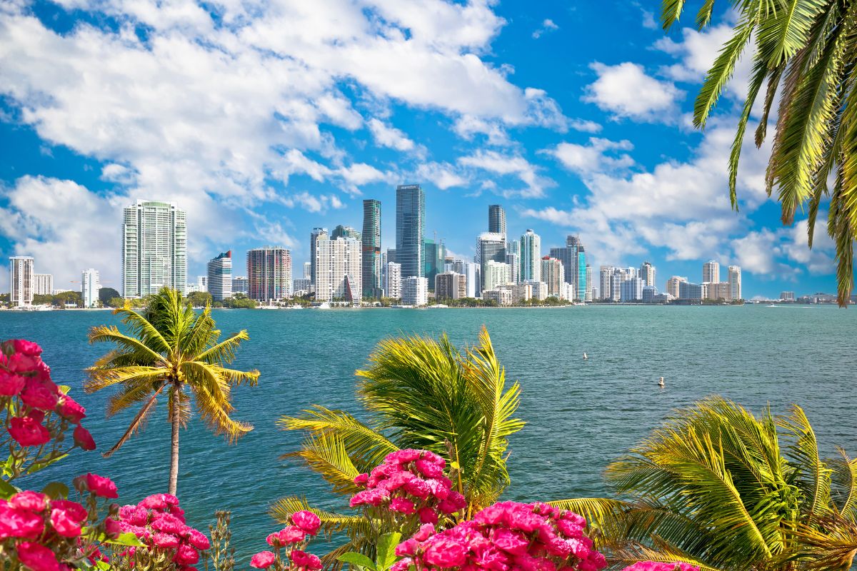 🏝️ Miami & Miami Beach Attractions